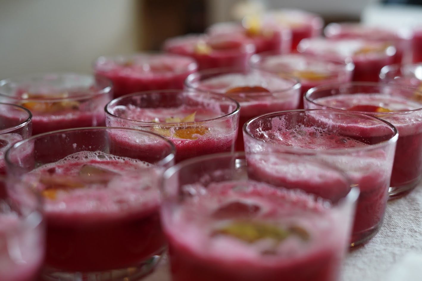 Wildflower Iced Tea (x10)